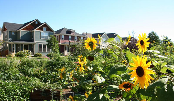 Green Advice for All: A Guide to Neighborhood Development - The Atlantic - Green Neighborhood Developments In Nordic Countries